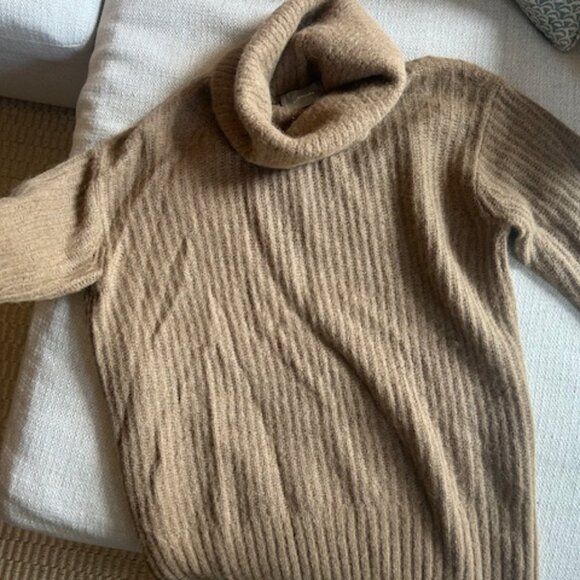 Everlane Alpaca Oversized Turtleneck Sweater (Size S) - Picture 6 of 7